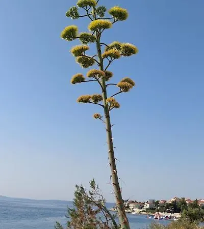 Vista Oasis With Pool And Terrace * Trogir